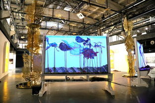 不息——第57屆威尼斯國際藝術雙年展中國館上海站開幕，藝術表演場館管理服務助力文化交流