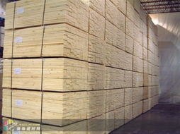 上海建材市場供應優質云杉，助力城市建設與家居裝修